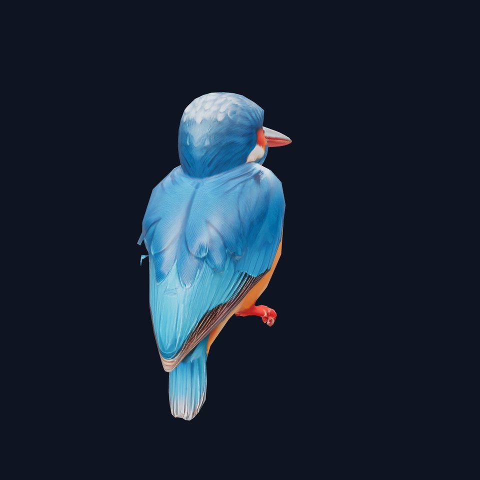 Vibrant Kingfisher Bird model pack